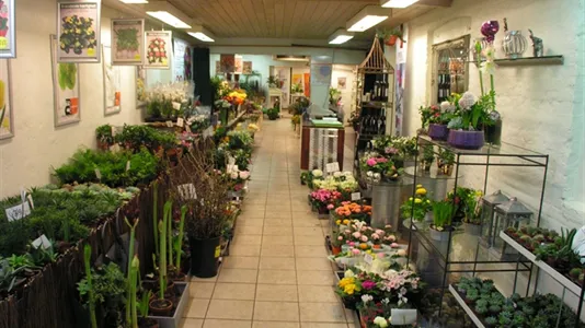 Boligudlejningsejendomme til salg i Viborg - billede 6