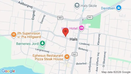 Boligudlejningsejendomme til salg i Hals - Foto fra Google Street View