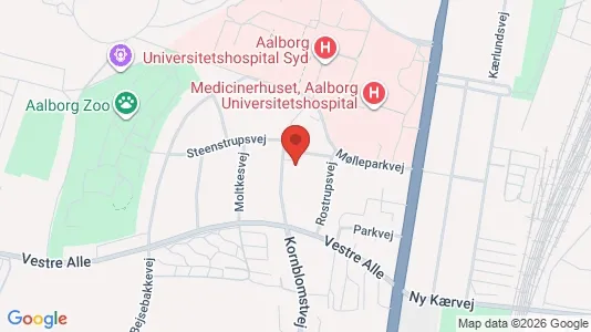Boligudlejningsejendomme til salg i Aalborg Centrum - kort over placeringen