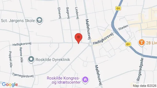Boligudlejningsejendomme til salg i Roskilde - kort over placeringen