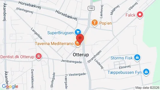 Boligudlejningsejendomme til salg i Otterup - kort over placeringen