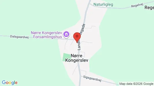 Boligudlejningsejendomme til salg i Kongerslev - kort over placeringen