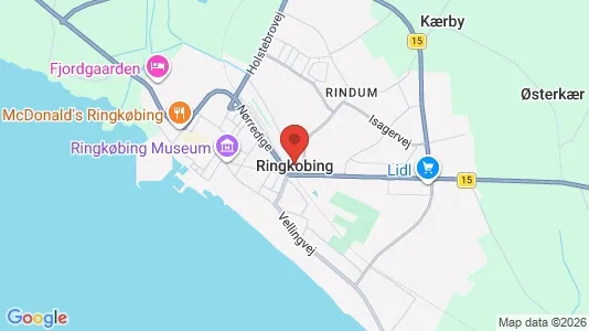 Boligudlejningsejendomme til salg i Ringkøbing - kort over placeringen